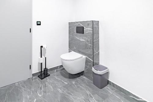a white bathroom with a toilet and a shower at Apartmány Michelle in Dolní Dunajovice