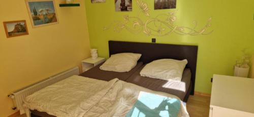 two beds in a room with green walls at Ferienwohnung Kannemann in Herzberg am Harz