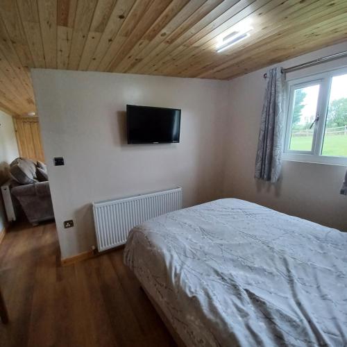a bedroom with a bed and a tv on the wall at Dunroaming Cabin in Pendine