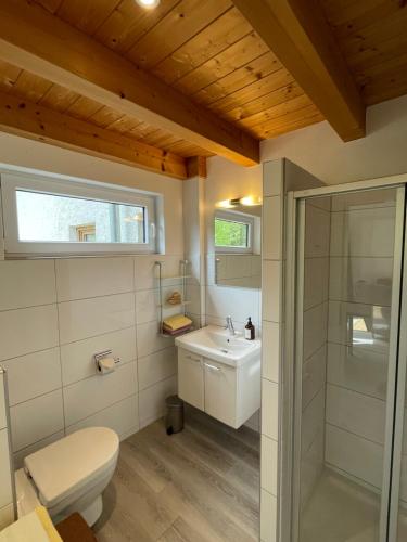 a bathroom with a toilet and a sink and a shower at Am Hof Jungholz in Jungholz