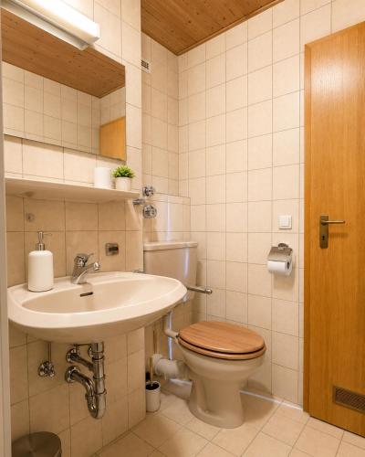 a bathroom with a toilet and a sink at Falkenstein Loft 55 in Zwiesel