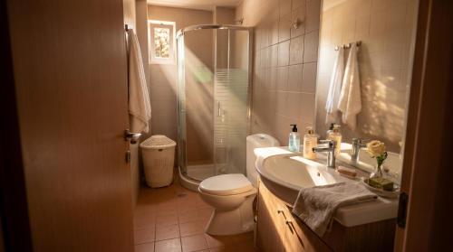 a bathroom with a toilet and a sink and a shower at Laskas Apartment in Stalís