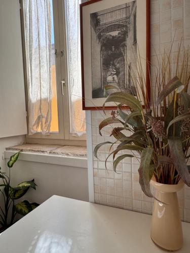 a plant in a vase sitting on a table at B&B La Meta in Benevento