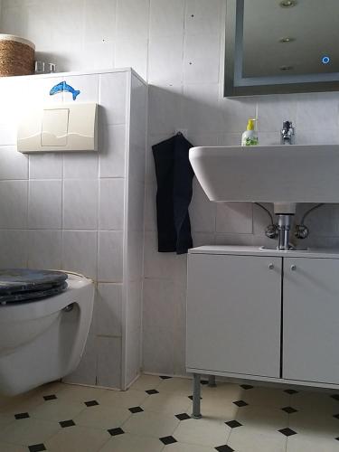 a bathroom with a sink and a toilet at Ferienwohnung Prignitzhof in Plattenburg