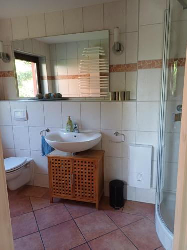a bathroom with a sink and a toilet and a mirror at Ferienhaus Rümdriewer in Pruchten