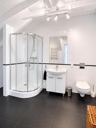 a bathroom with a shower and a sink and a toilet at CHARZYKOWSKIE TARASY in Charzykowy