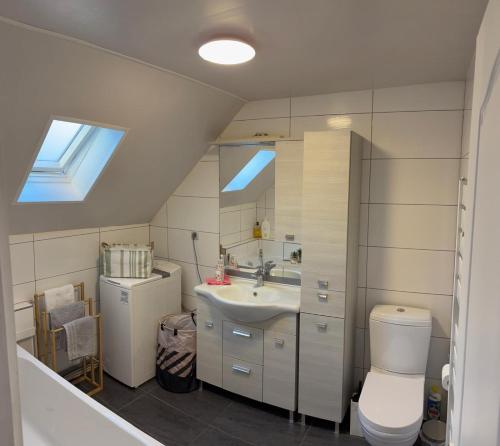 a bathroom with a sink and a toilet at séjour en Alsace in Ingersheim