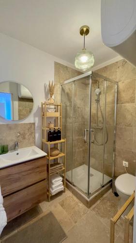 a bathroom with a shower and a sink at Le Cocon de Pommard in Pommard