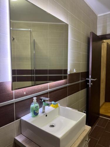 a bathroom with a white sink and a mirror at Swimming pool apartment in Budva