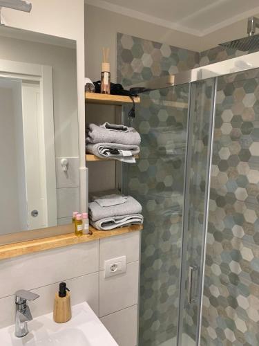 a bathroom with a shower and a sink at Da Mina Rooms & Apartament in Flumeri
