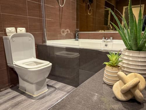 Amazing 10 bed apartments on Mathew Street photo 69