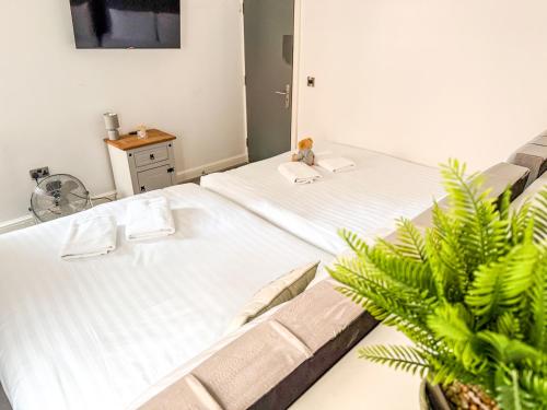 Amazing 10 bed apartments on Mathew Street photo 66