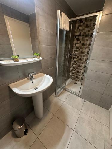 a bathroom with a sink and a shower at Les Suites du Quai in Montmélian