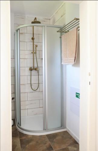 a shower with a glass door in a bathroom at Dům U babičky in Laškov