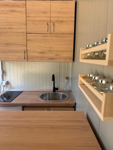 a kitchen with a sink and wooden cabinets at Piva Chill in Plužine