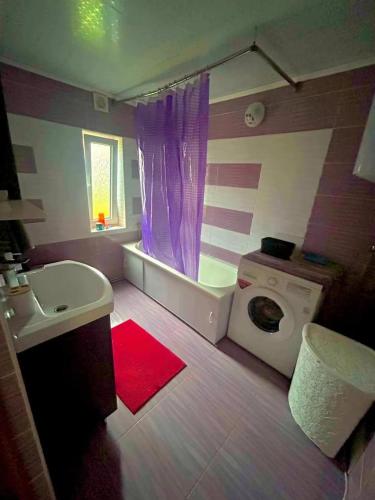 a bathroom with a sink and a washing machine at Карпатський затишок in Verkhovyna
