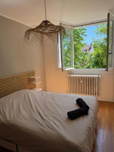 Appartement - Dijon