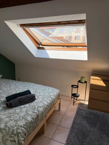 Dijon center cozy apartment - private parking