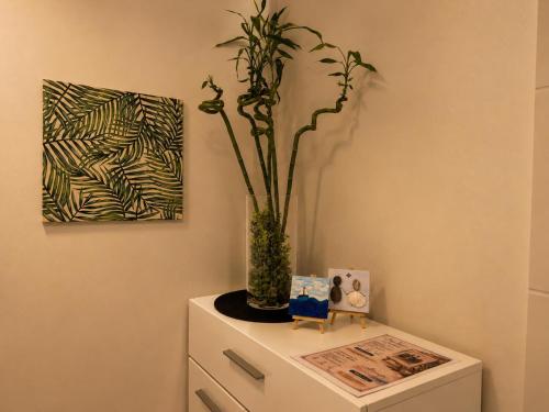 Tole Apartment