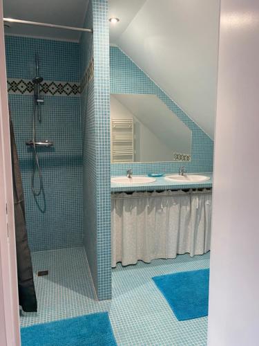 a bathroom with two sinks and a shower at La cour des hôtes in Fenain