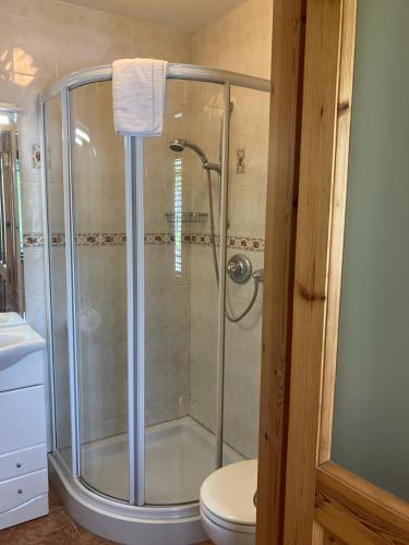 a shower stall in a bathroom with a toilet at Clifden townhouse in Clifden