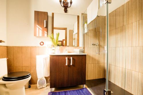 La salle de bains est pourvue d'une douche et de toilettes. dans l'établissement Casa Rural Vega el Dorado, à San Pablo