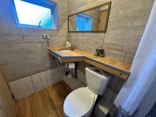 a bathroom with a toilet and a sink and a mirror at Casita Bosque-Rucalemu in Valdivia