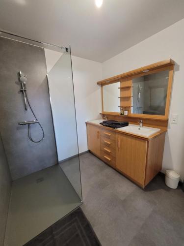 a bathroom with a shower and a sink at Les écuries in Secondigny