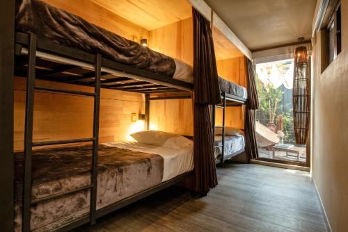 ein Schlafzimmer mit zwei Etagenbetten und einem Fenster in der Unterkunft La Selva Hostel in Mexiko-Stadt