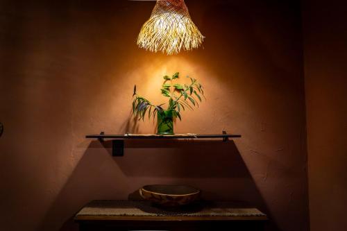 a plant in a vase on a shelf under a light at Casa El Jardín Centro Histórico in Asunción