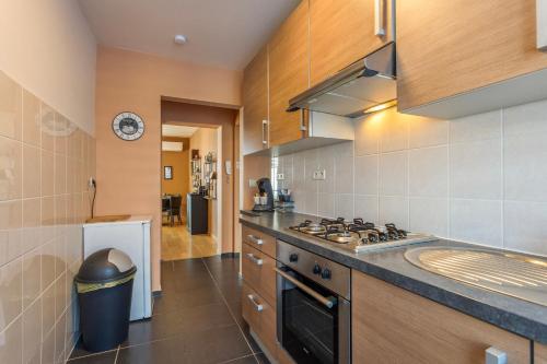 une cuisine avec une cuisinière et un plan de travail dans l'établissement B&B Leopold Appartementen & studio's, à Saint-Trond