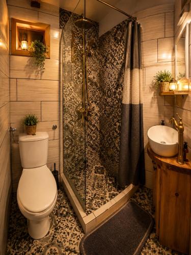 a bathroom with a toilet and a shower and a sink at Rustic Garden & Jacuzzi Retreat in Vis