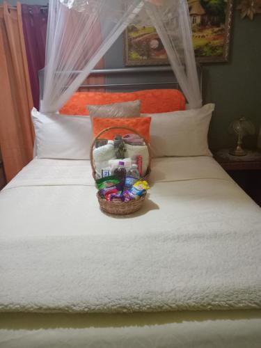 a basket of toys is sitting on a bed at Movement and Reposé in Clarks Town