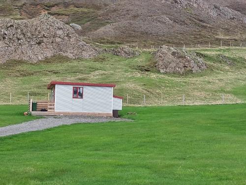 a small white shed in a field of grass at Ásbrandsstadir Cottages in Vopnafjörður