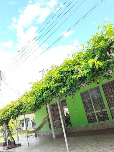 a green building with lots of plants on it at Villa Liam Casa Turística in Prado