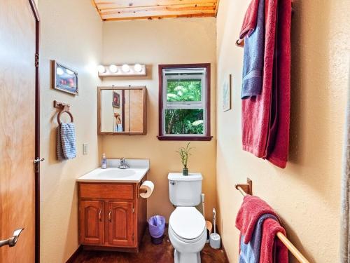 a bathroom with a toilet and a sink and a window at Charming Tiny Cottage 5 min from National Park in Volcano