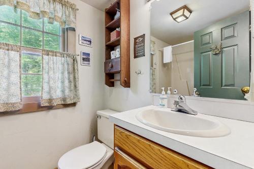 a bathroom with a sink and a toilet and a window at GOPI Notch in Franconia