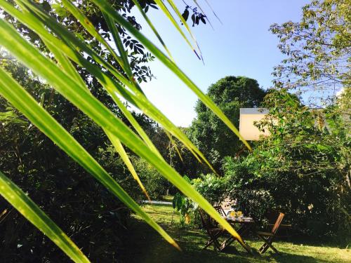 a park with a picnic table and some trees at Hotel Casa Maya Calakmul in Chicanna