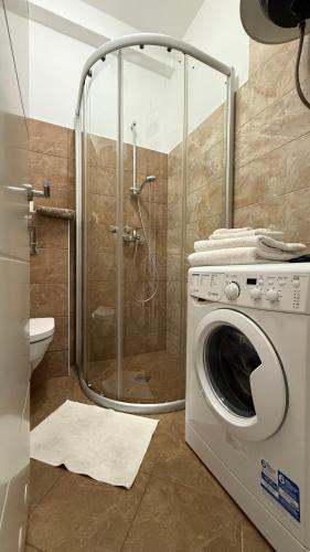 a shower and a washing machine in a bathroom at Harmonia Apart Hotel in Boreti