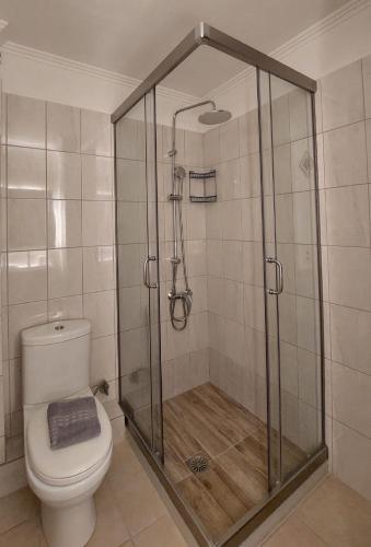 a bathroom with a shower and a toilet at Giannos Apartments in Agia Effimia