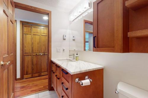 a bathroom with a sink and a mirror at The Queens Slopeside Hideaway in Jay