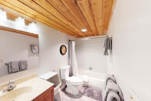 a bathroom with a toilet and a sink at Gore Creek Getaway in Vail