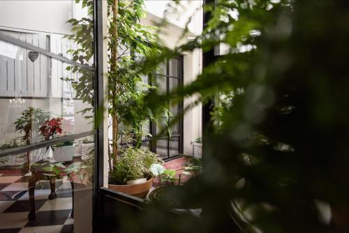 an indoor courtyard with plants in a building at Casa Urbana Hotel in Cordoba