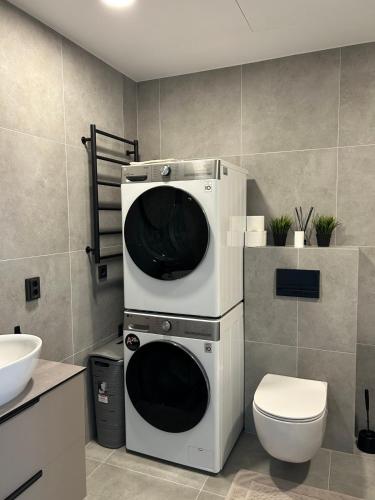a bathroom with a toilet and a washer and dryer at Karaliauciaus Apartment in Vilnius