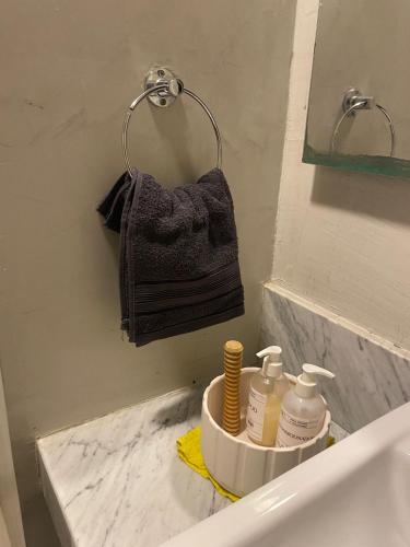 a bathroom with a sink and a towel at Monoambiente céntrico in Gualeguaychú