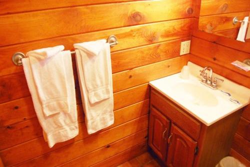 a bathroom with a sink and towels on a wooden wall at Loons Nest Cottage in Standish