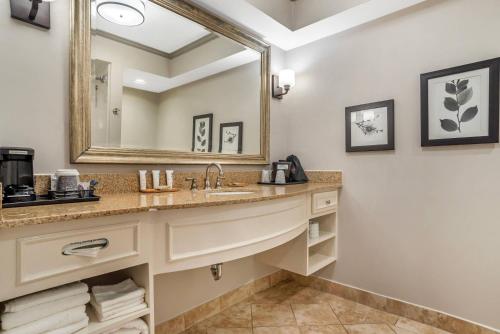 a bathroom with a sink and a mirror at Country Inn & Suites by Radisson, Metairie New Orleans , LA in Metairie
