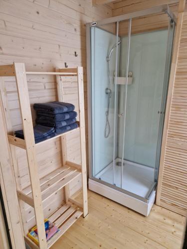 a shower with a glass door in a room at Vanagu priedes in Kalngale