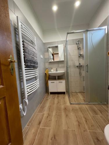 a bathroom with a shower and a sink at Gellénia in Balatonberény