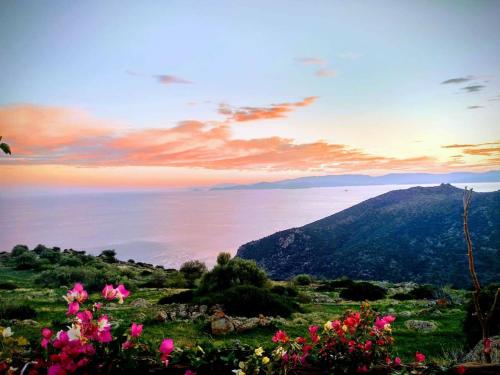 a view of the ocean and a mountain with pink flowers at peaceful place in Anítsaion